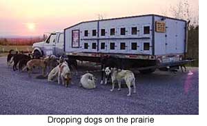 Dropping dogs on prairie